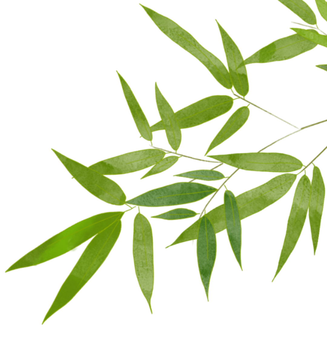 清明至，春意濃(圖5)