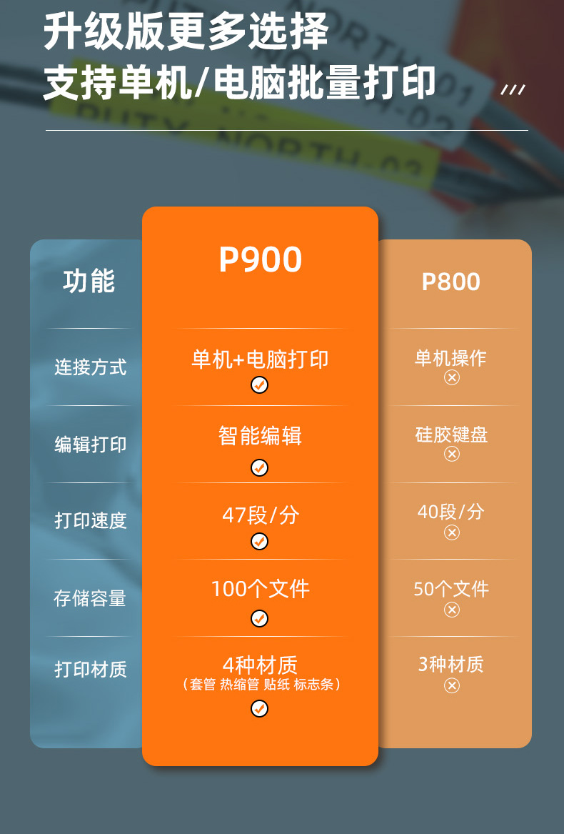 P900(圖3)